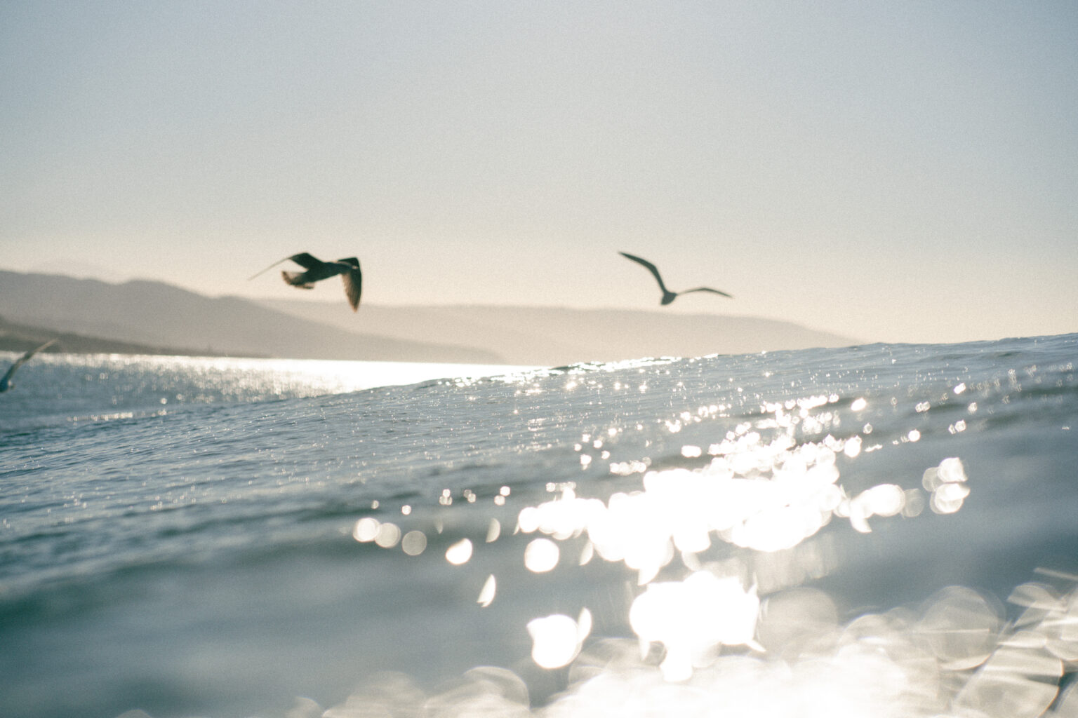 Two seagulls flying over the waves